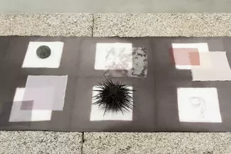 Regenerative future, vue d'exposition